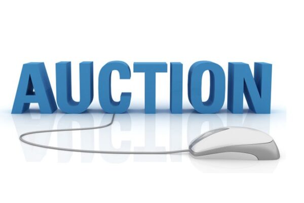 The Taste of St. Francis Online Auction