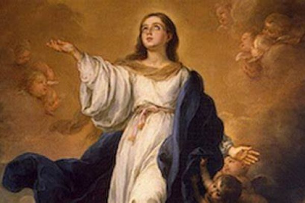 Feast of the Immaculate Conception Homily