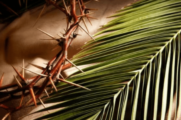 Fr. Dale’s Homily – Passion/Palm Sunday